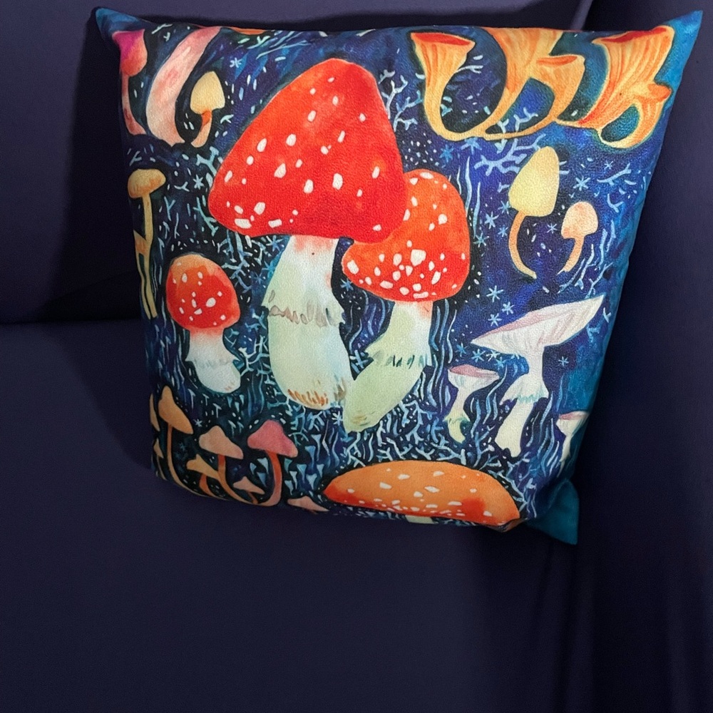 Mushroom pillow with removable washable cover -super cute !!